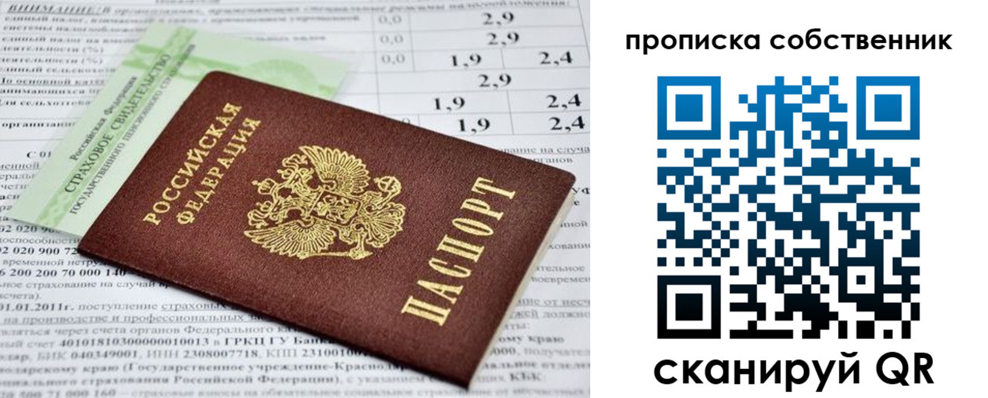 прописка 2025 в Струнино